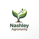 Nashley Logo